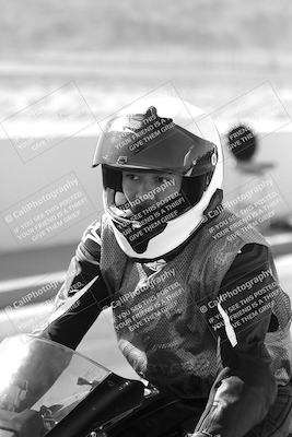 media/Mar-08-2025-TrackXperience (Sat) [[277b597a28]]/1-Around the Pits - Pre Grid/